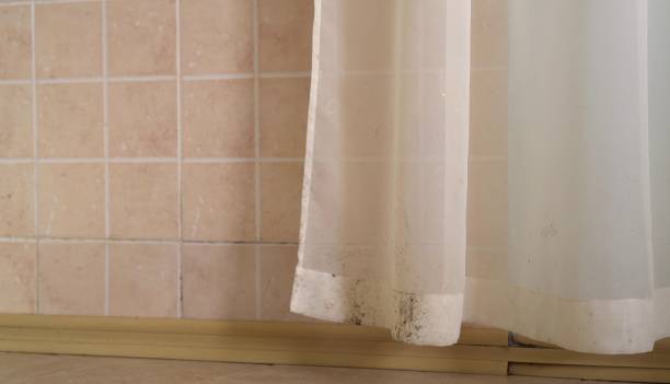 Best Mold Prevention Services  in Tuba City, AZ