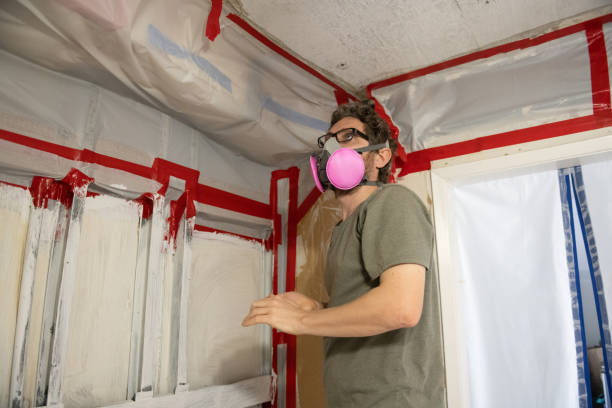 Best Mold Damage Restoration  in Tuba City, AZ