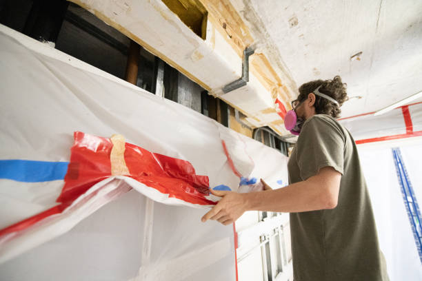Tuba City, AZ Mold Removal Company