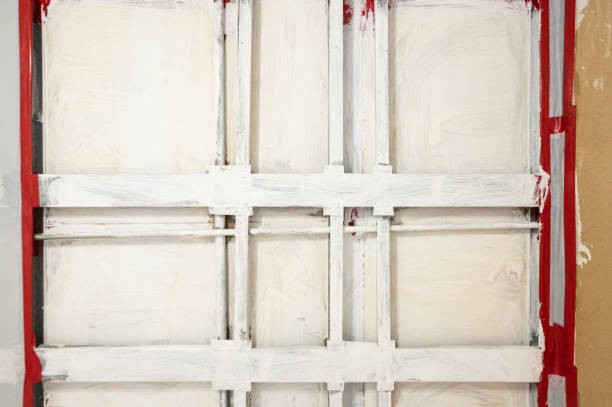 Best Attic Mold Removal  in Tuba City, AZ