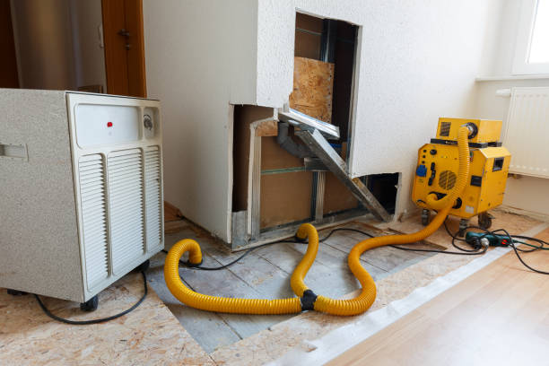 Best Comprehensive Air Testing for Mold Contaminants  in Tuba City, AZ