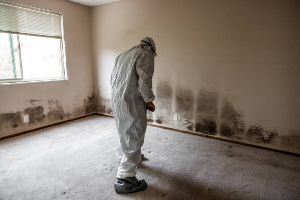 Best Industrial Mold Remediation  in Tuba City, AZ