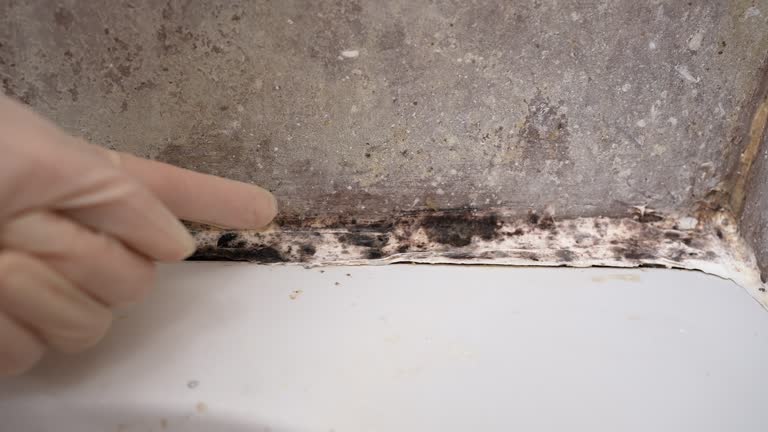 Best Airborne Mold Testing  in Tuba City, AZ